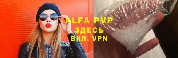 СК Белокуриха